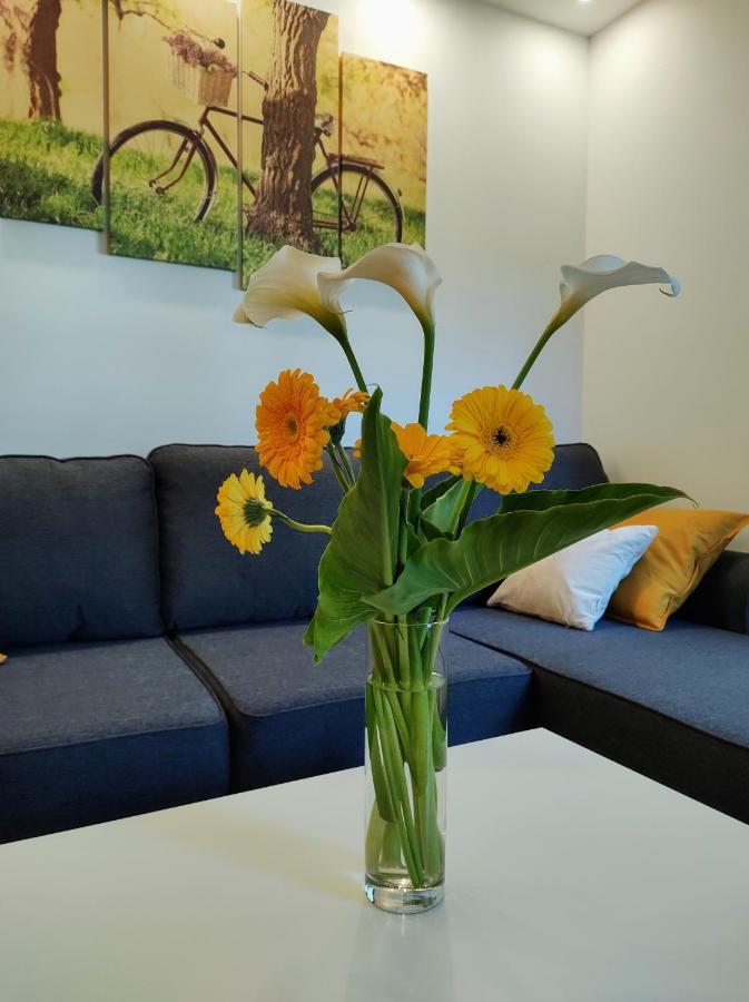 Casa Di Stefano Apartment & Spa Zlatibor Zewnętrze zdjęcie